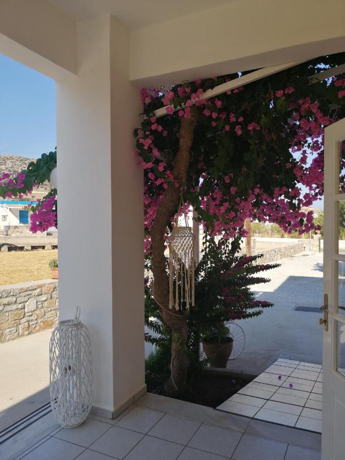 Hotel Blue Sea à Galissas Extérieur photo