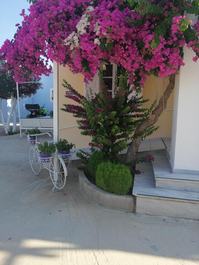 Hotel Blue Sea à Galissas Extérieur photo